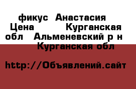 фикус  Анастасия › Цена ­ 150 - Курганская обл., Альменевский р-н  »    . Курганская обл.